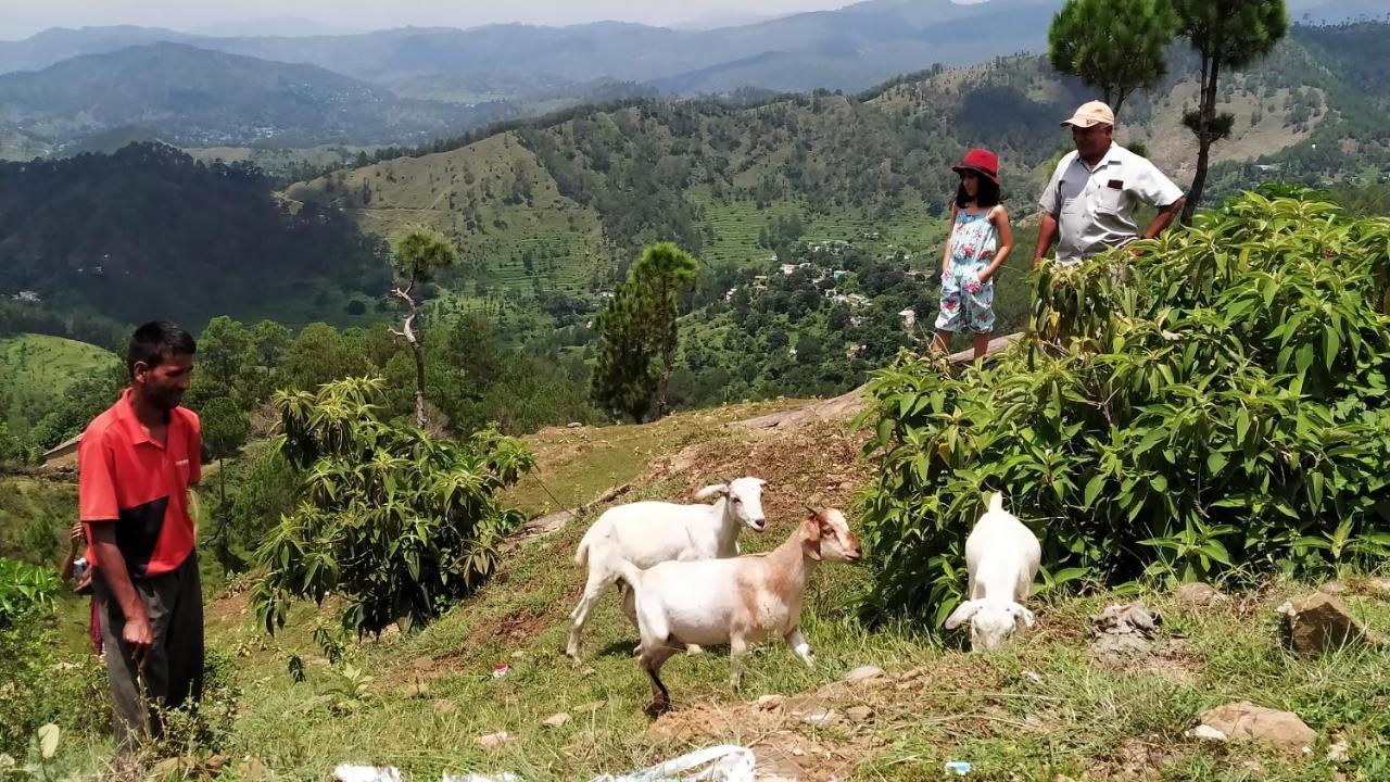 Dwarahat Village Farmstay- Babaji'S Cave Kültér fotó