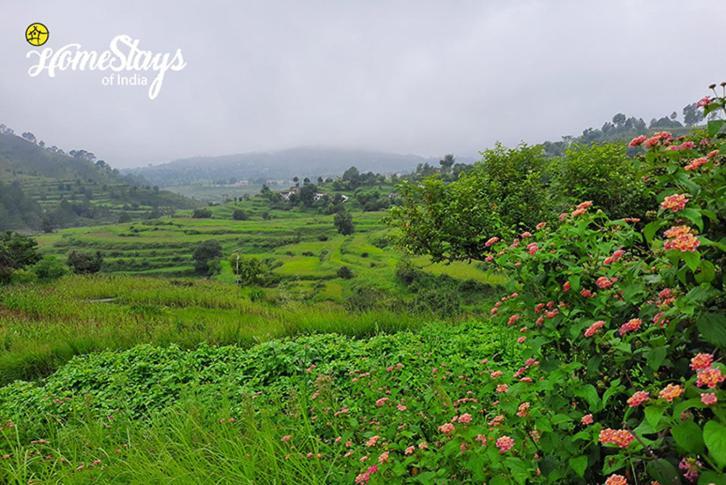 Dwarahat Village Farmstay- Babaji'S Cave Kültér fotó