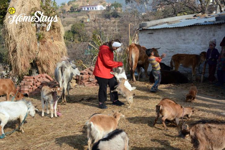 Dwarahat Village Farmstay- Babaji'S Cave Kültér fotó